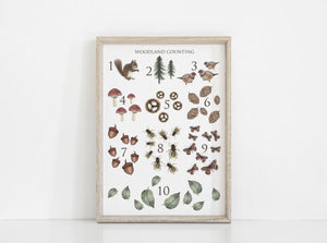 Woodland Counting Art Print