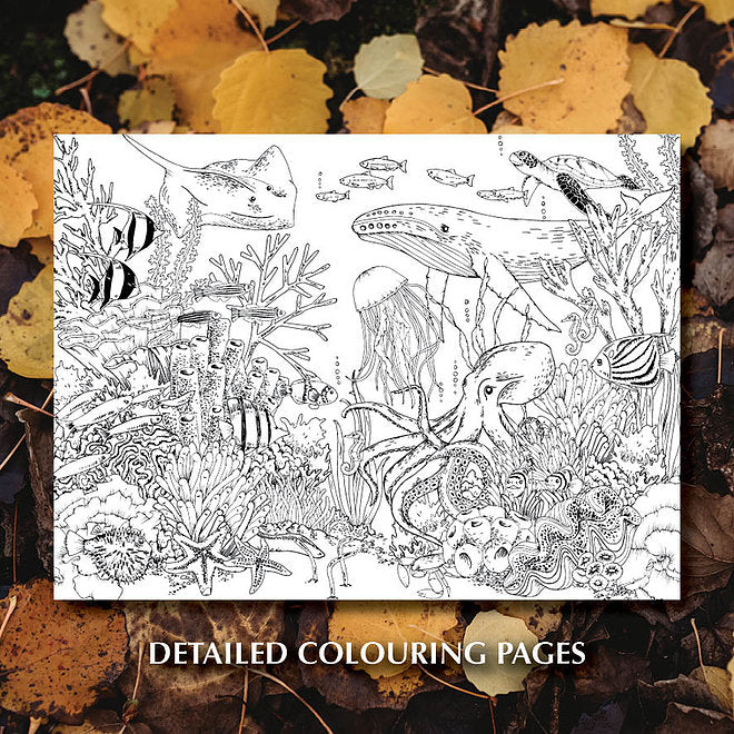 Your Wild Activity Book