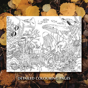 Your Wild Activity Book