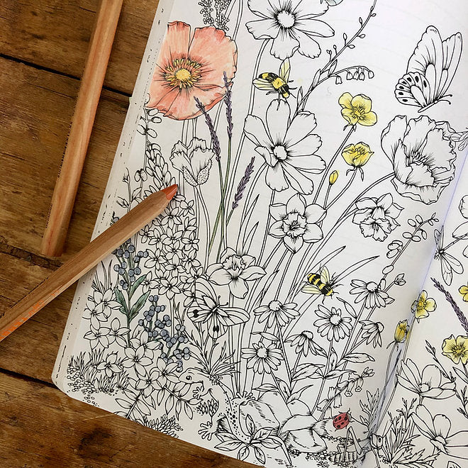 Your Wild Journal