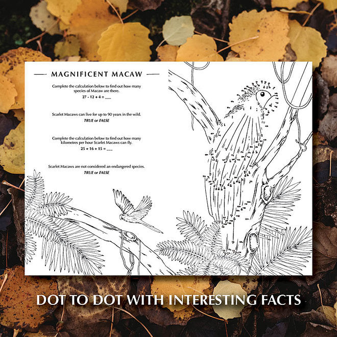 Your Wild Activity Book