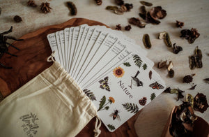 Nature Facts Flash Cards