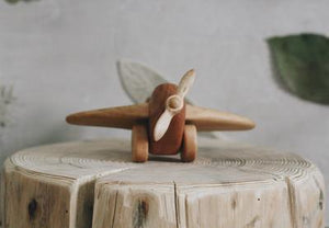 Wooden Plane - Marcel