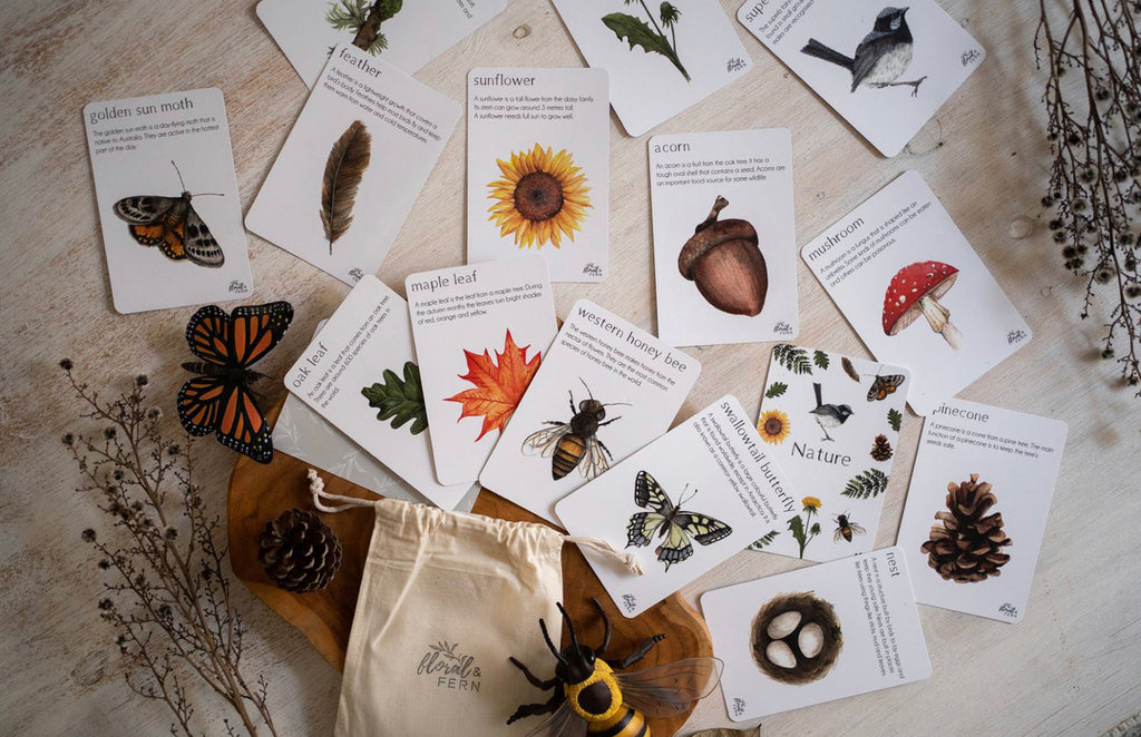Nature Facts Flash Cards