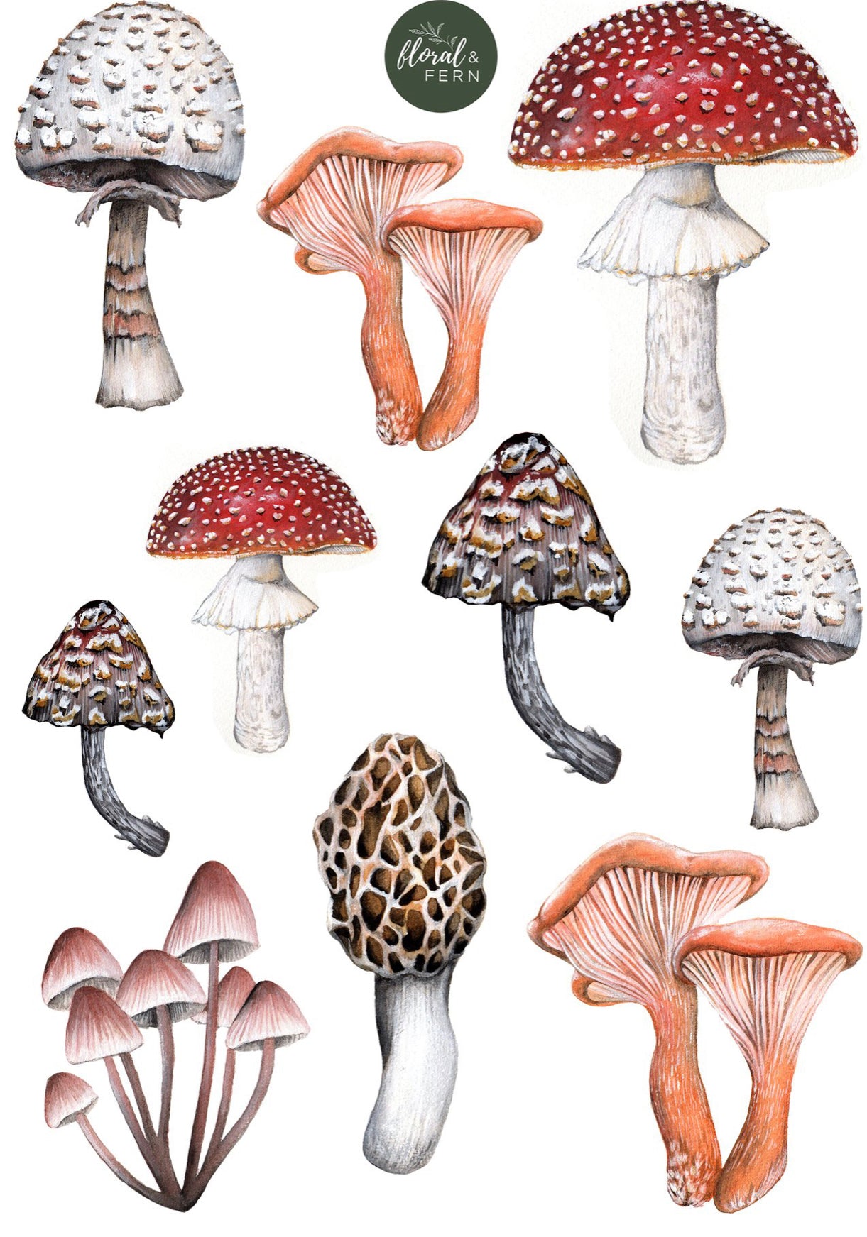 Wall Decals - Mushroom