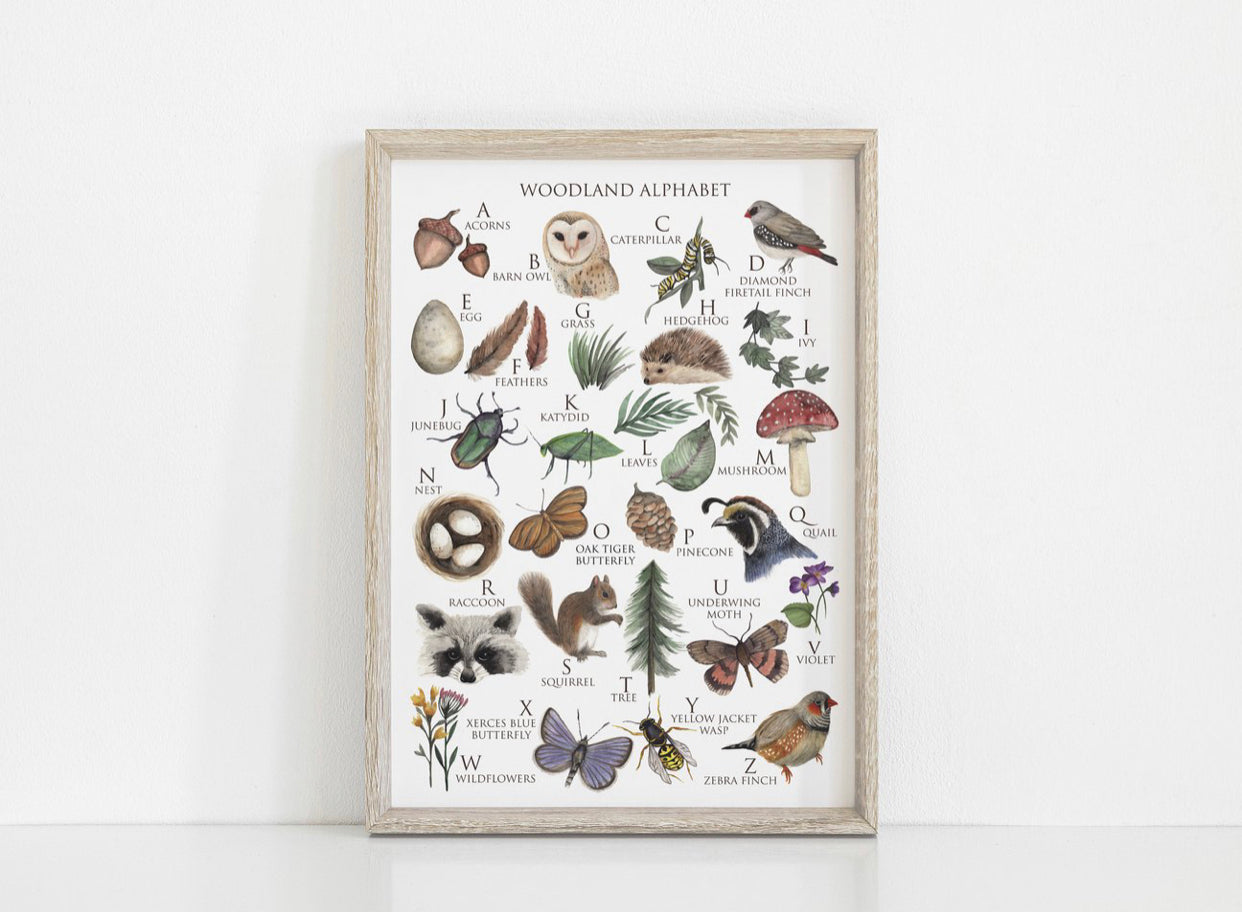 Woodland Alphabet Art Print