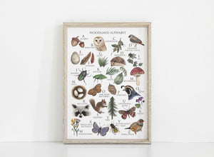 Woodland Alphabet Art Print