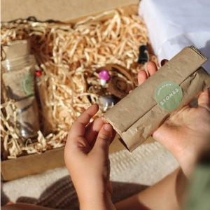 Lets Create - Mini Garden Kit