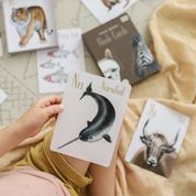 Flash Cards - Animal Alphabet