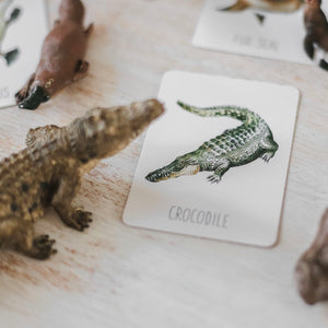 Snap and Go Fish - Australia