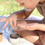 Lets Create - Mini Garden Kit