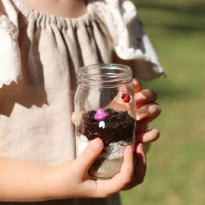 Lets Create - Mini Garden Kit
