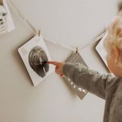 Flash Cards - Animal Alphabet