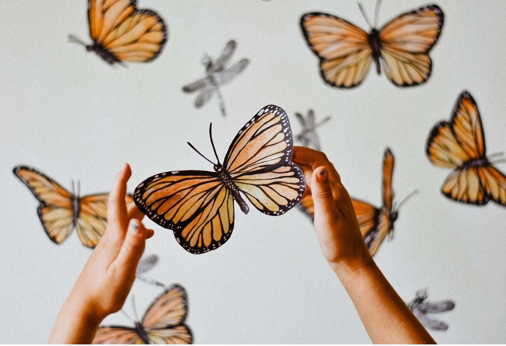 Wall Decals - Follow The Sun Butterfly