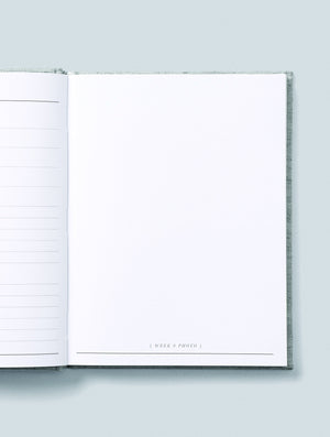 9 Months. Pregnancy Journal
