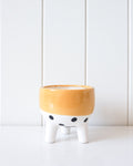 Ceramic Planter - Mustard Band with Spots