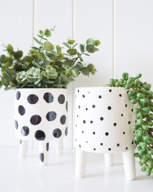 Ceramic Planter - Crazy Legs - Black and White Big Spots