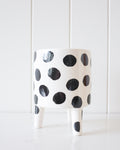 Ceramic Planter - Crazy Legs - Black and White Big Spots