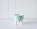 Ceramic Planter - Sage Band with Spots