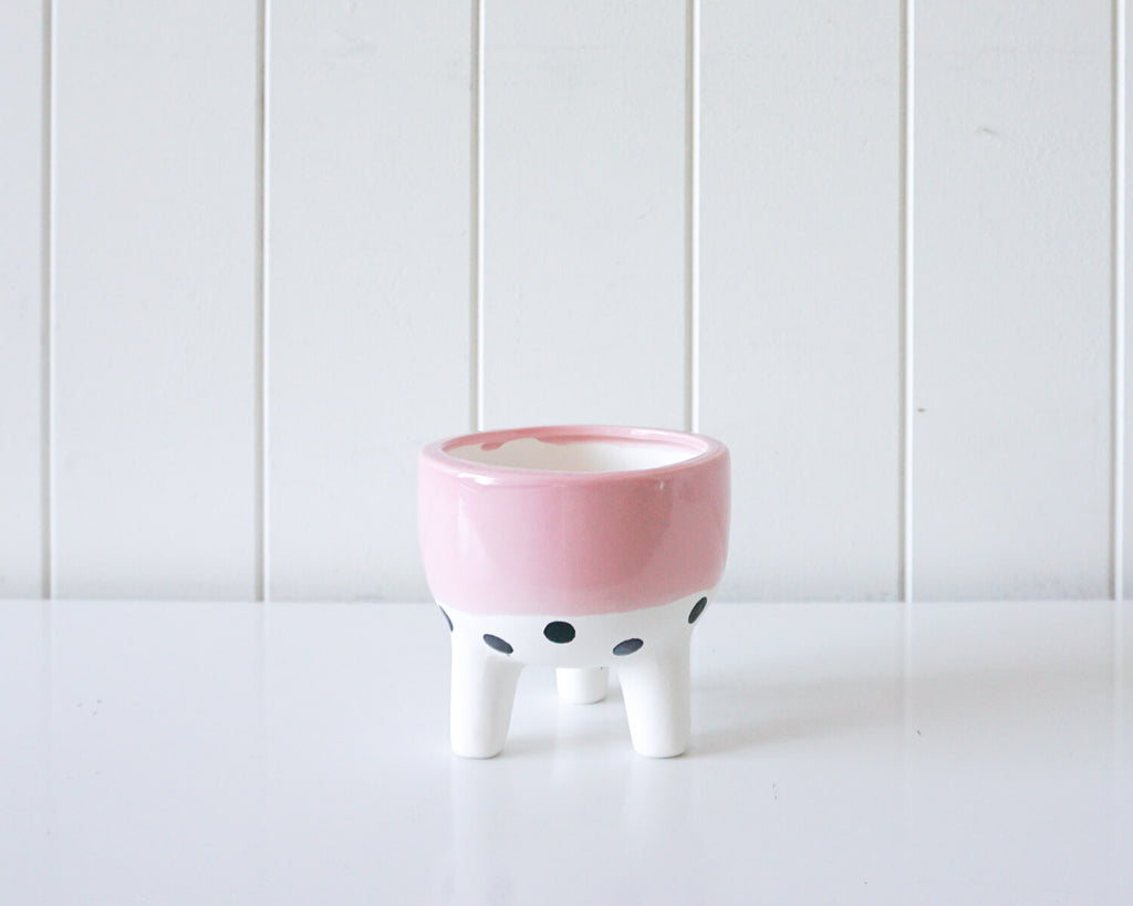 Ceramic Planter - Blush Band with Spots