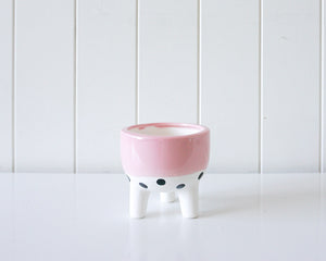 Ceramic Planter - Blush Band with Spots