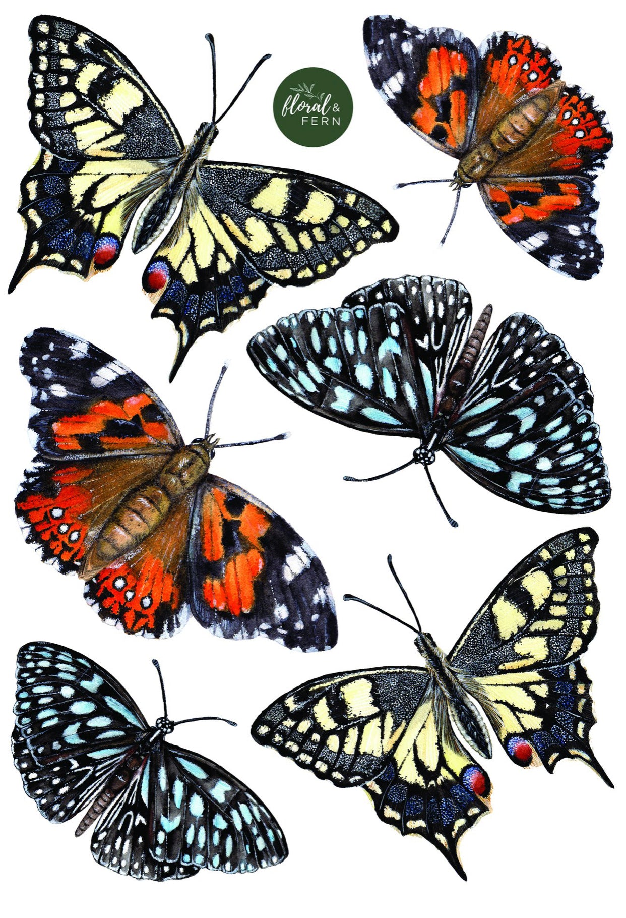 Wall Decals - Butterfly