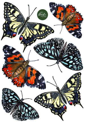 Wall Decals - Butterfly