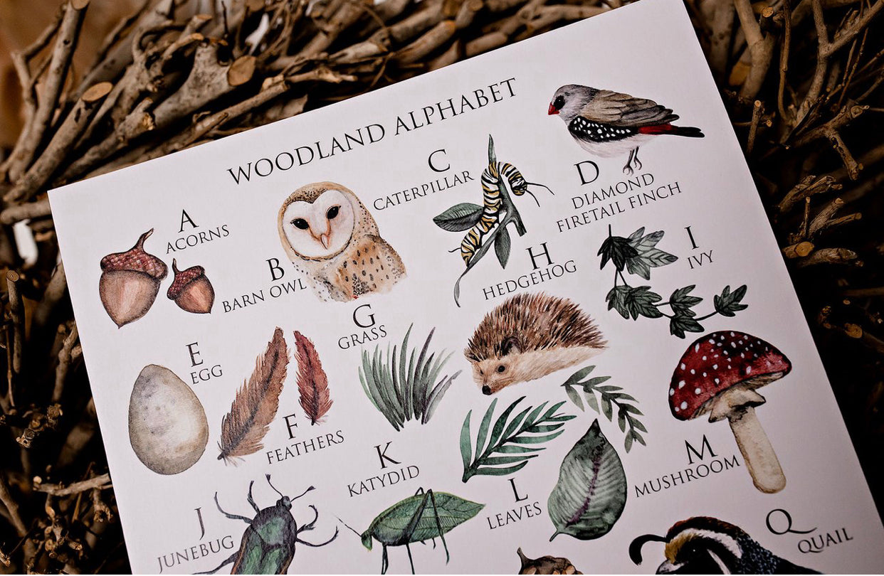 Woodland Alphabet Art Print