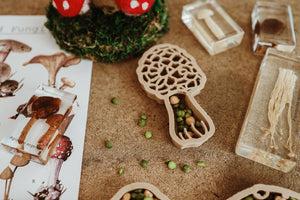 Eco Cutter - Morel Mushroom