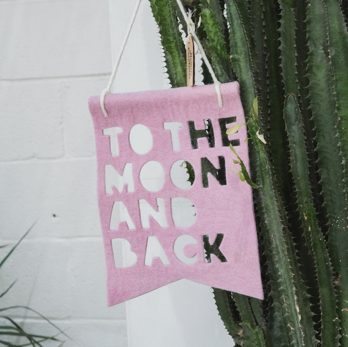 To The Moon and Back Banner