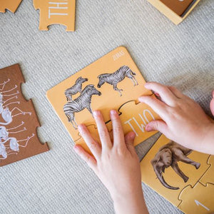 Counting Puzzle - Africa