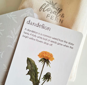 Nature Facts Flash Cards