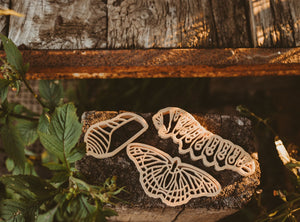 Eco Cutter - Monarch Butterfly Lifecycle Set