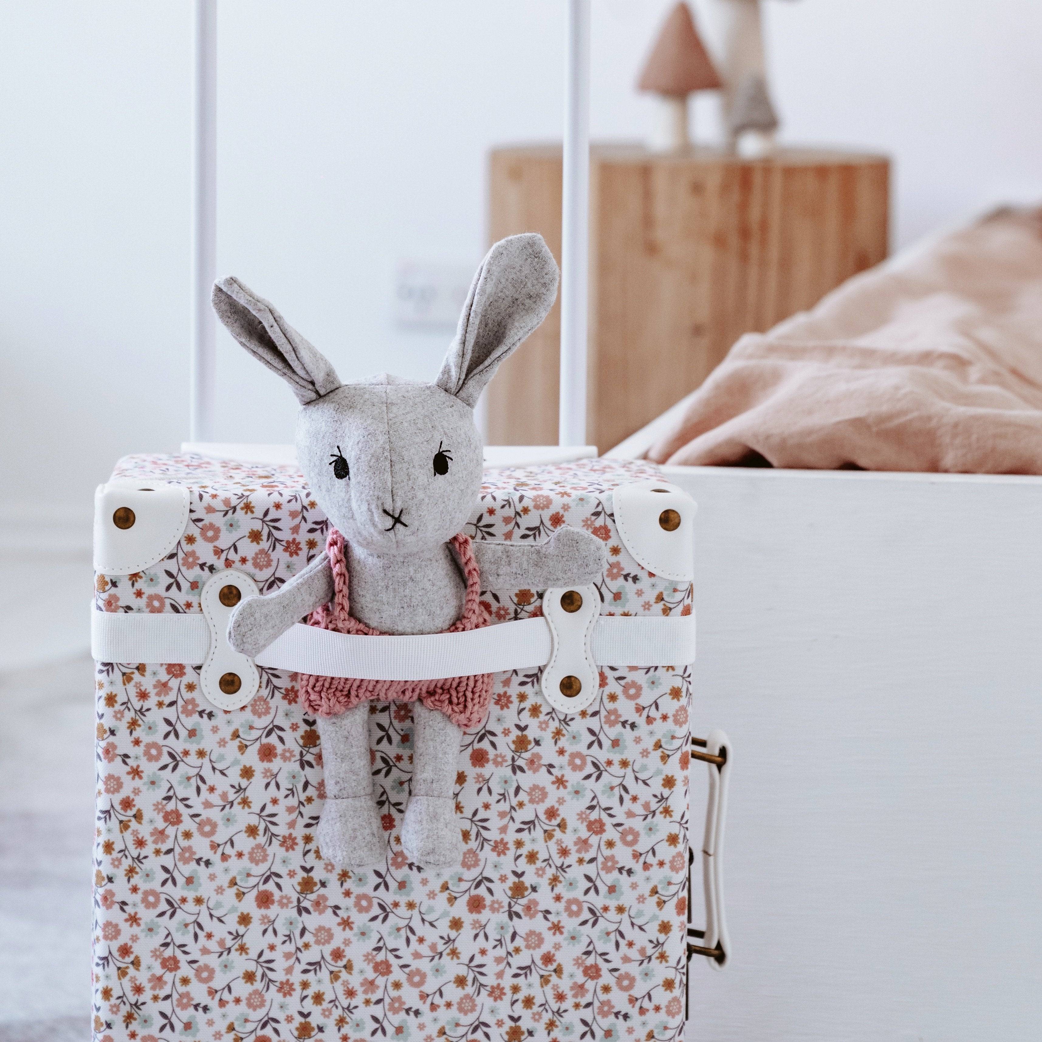 Agatha the Rabbit