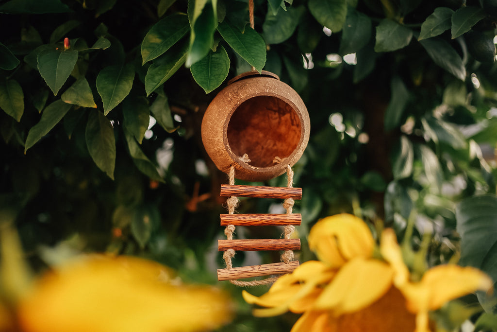 Fairy House - Coconut