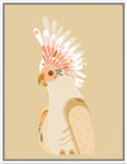 Framed Canvas - Galah