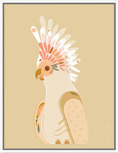 Framed Canvas - Galah