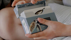 Snap & Go Fish - Ocean