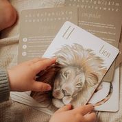Flash Cards - Animal Alphabet
