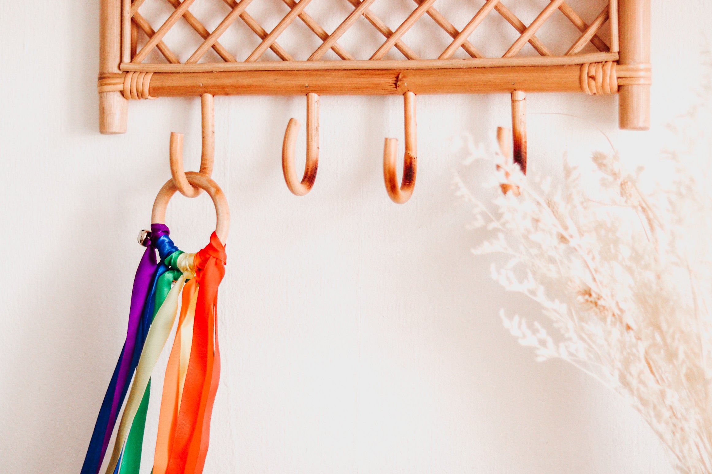 Ribbon Hand Kite - Rainbow