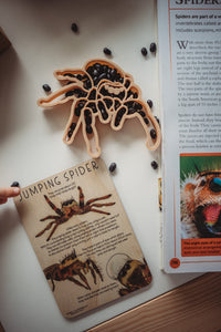 Eco Cutter - Jumping Spider