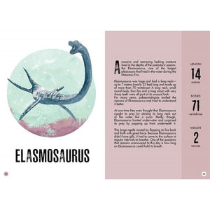 3D Assemble, Build and Book - Stegosaurus