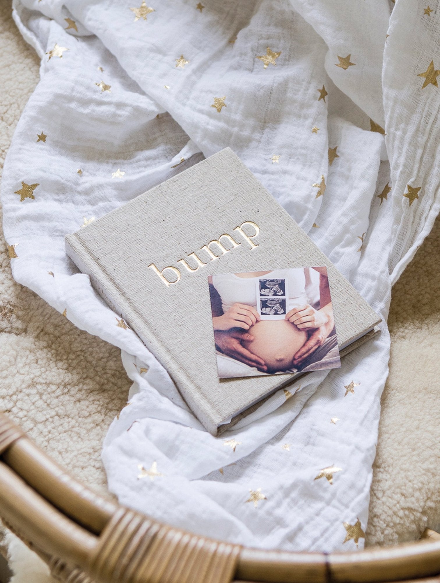 Bump. A Pregnancy Story
