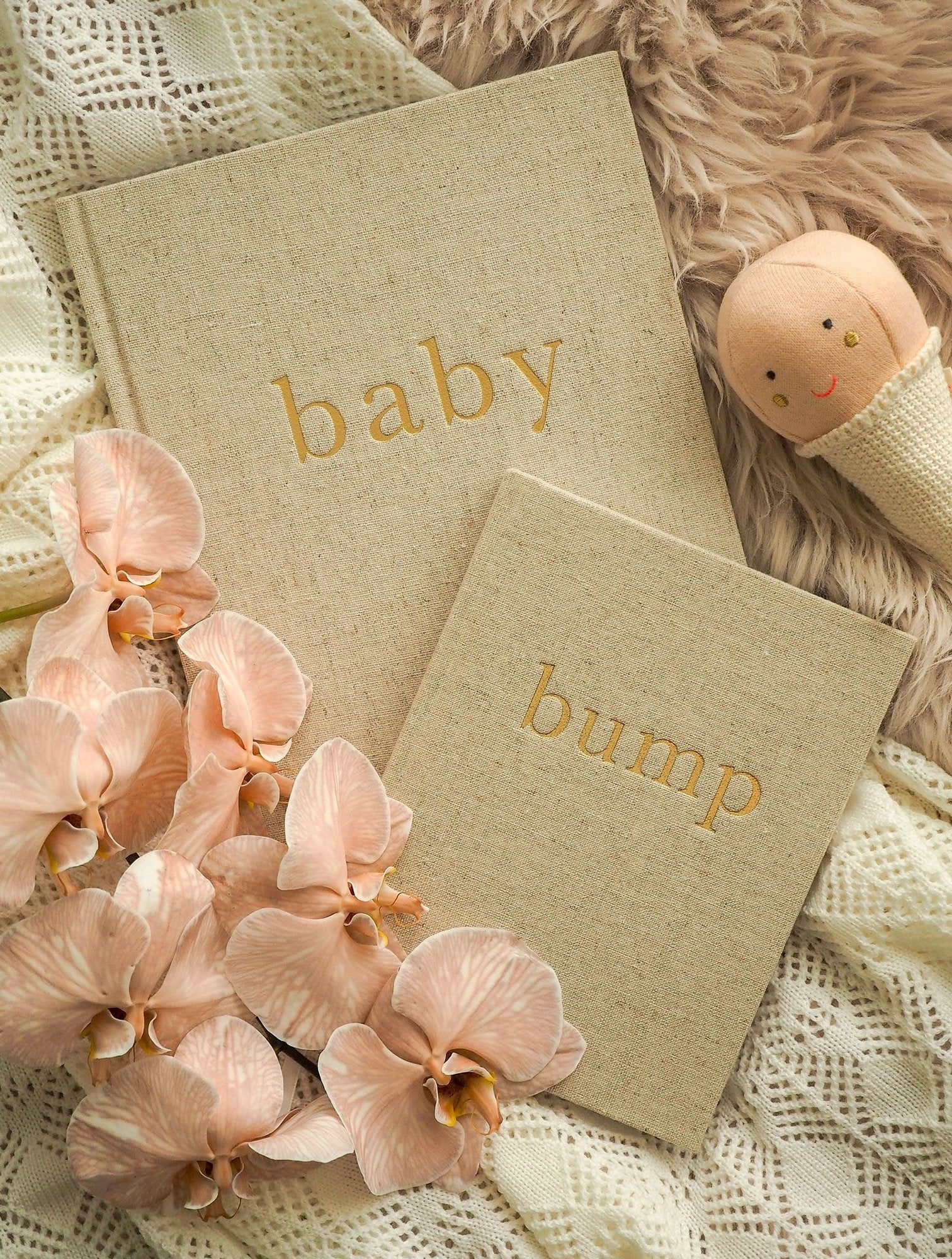 Bump. A Pregnancy Story