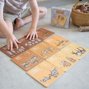 Counting Puzzle - Africa