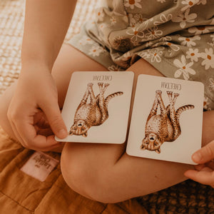 Snap & Go Fish - Africa