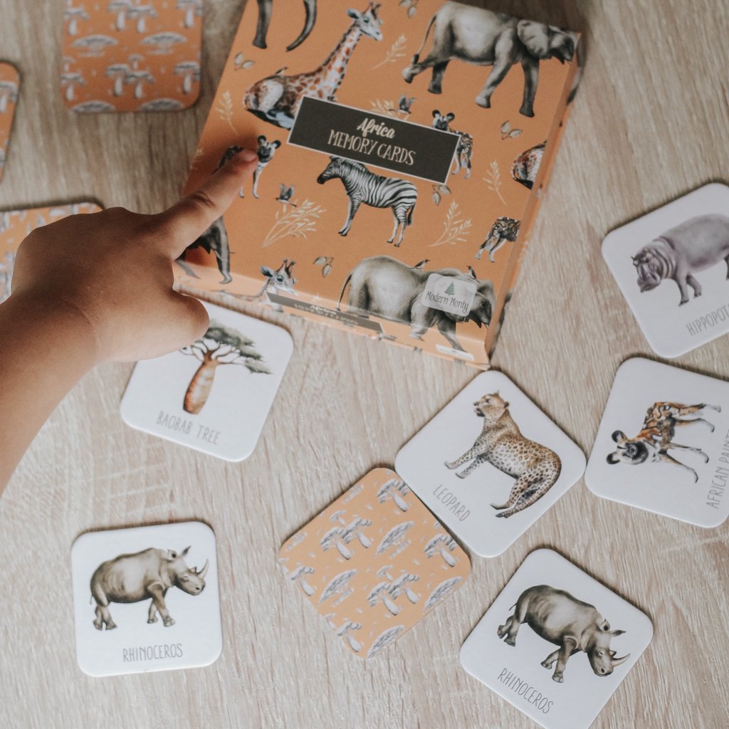Memory Card Game - Africa