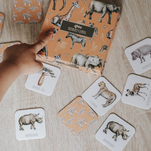 Memory Card Game - Africa