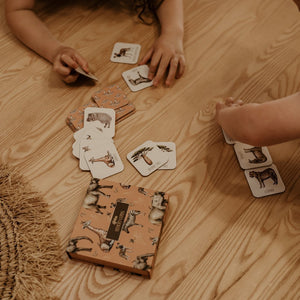 Memory Card Game - Africa