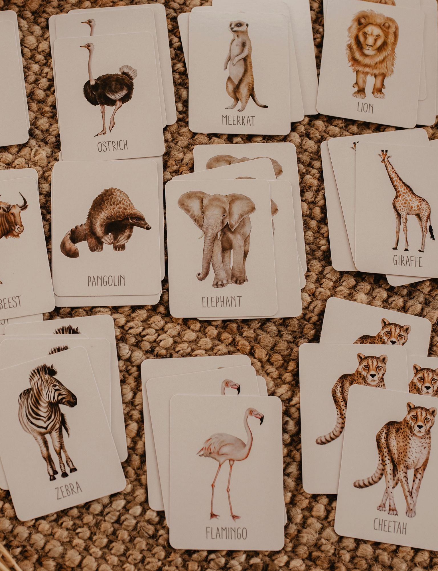 Snap & Go Fish - Africa